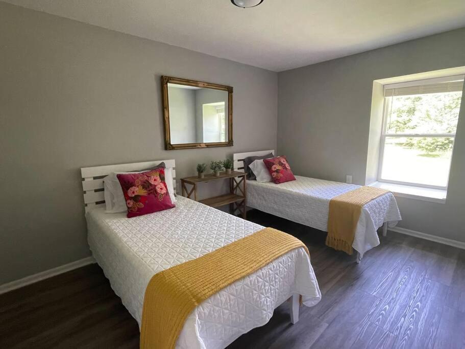 The Deannie Apt #6 - Simple And Homey 2Bd W/ Wifi Hamilton Buitenkant foto